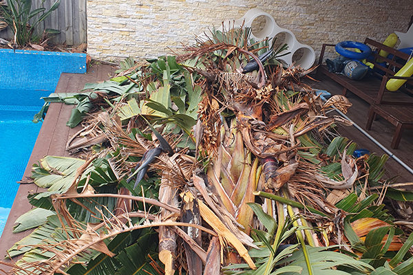 Green waste and garden rubbish removal in Melbourne