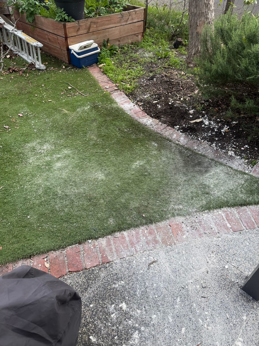 Clean lawn after renovation waste removal in Melbourne