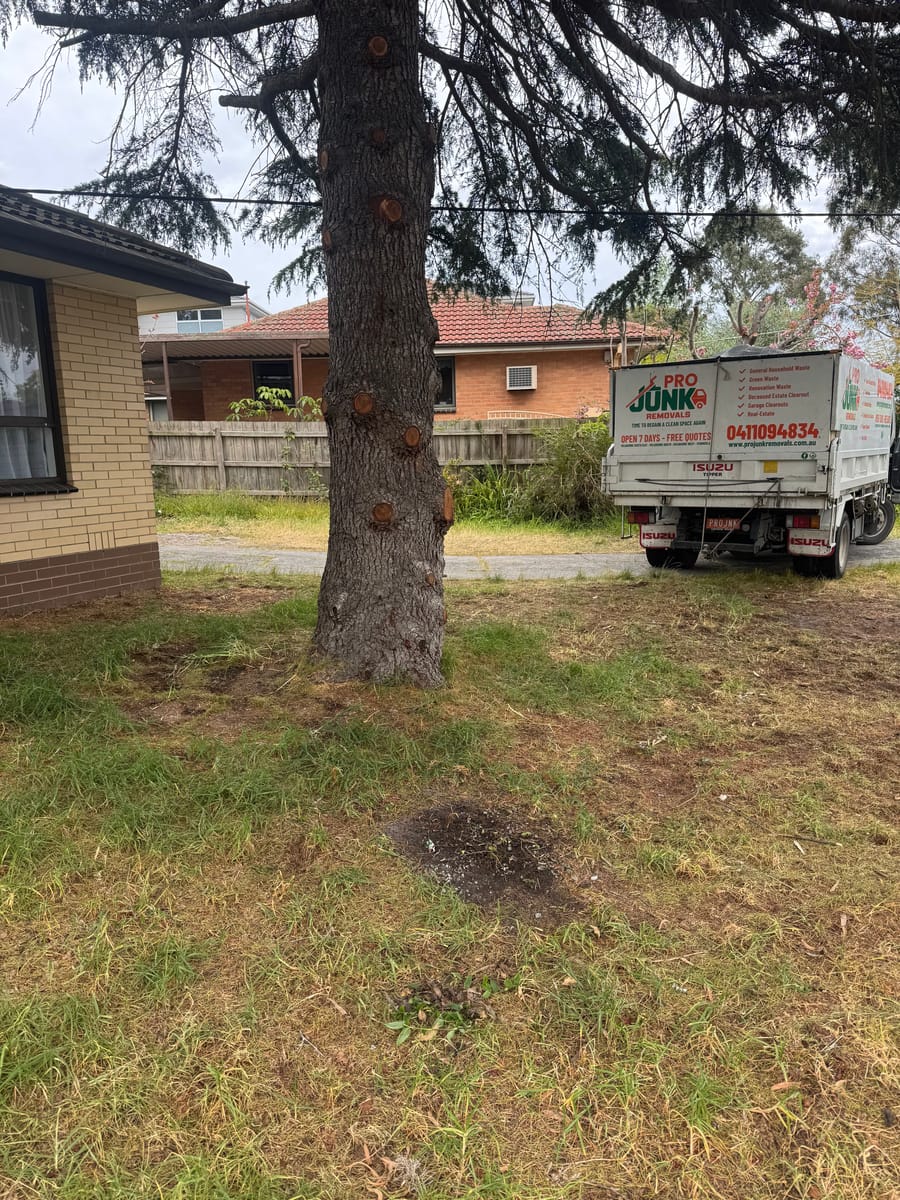 Cleared front yard after renovation waste removal in Melbourne